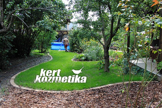 A kikelt fű Rákosligeten (36)